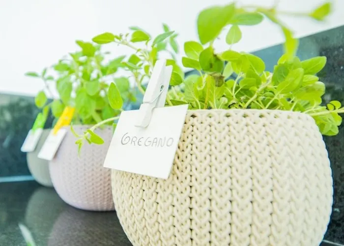 Διαμέρισμα Rodamar Penthouse